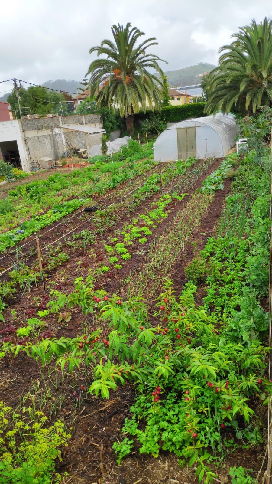 Jornada Iniciación a La Agroforestación
