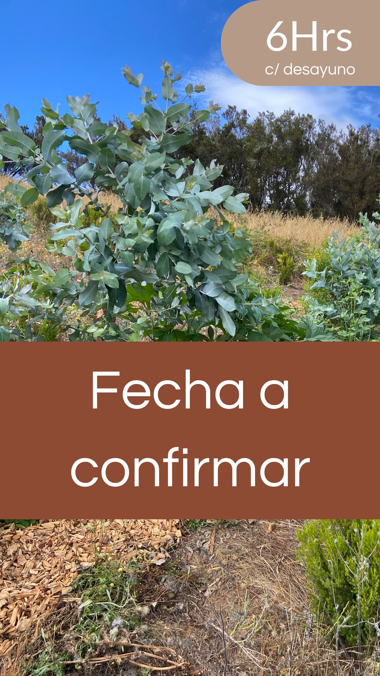 Jornada Iniciación a La Agroforestación