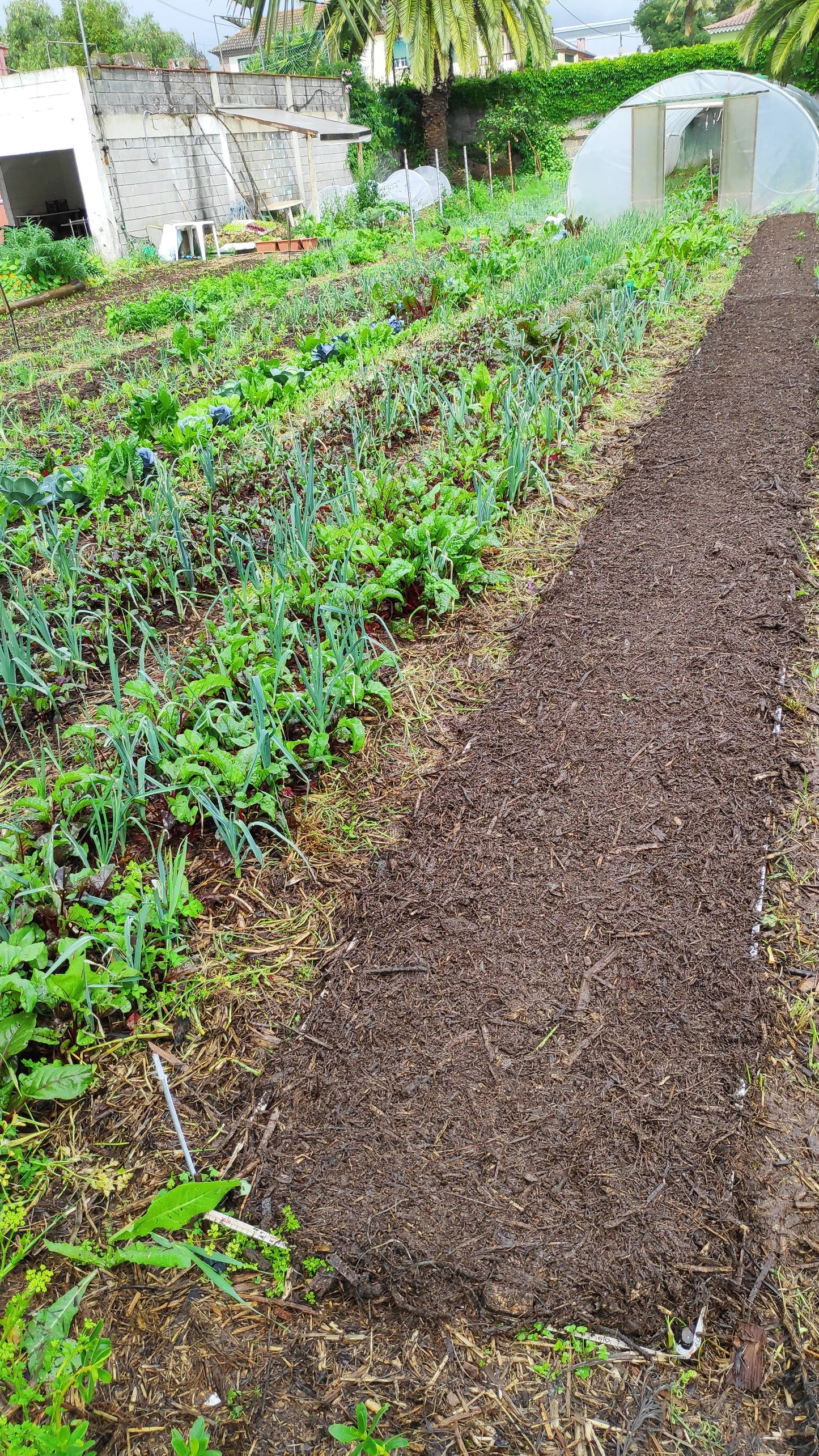 Jornada Iniciación a La Agroforestación