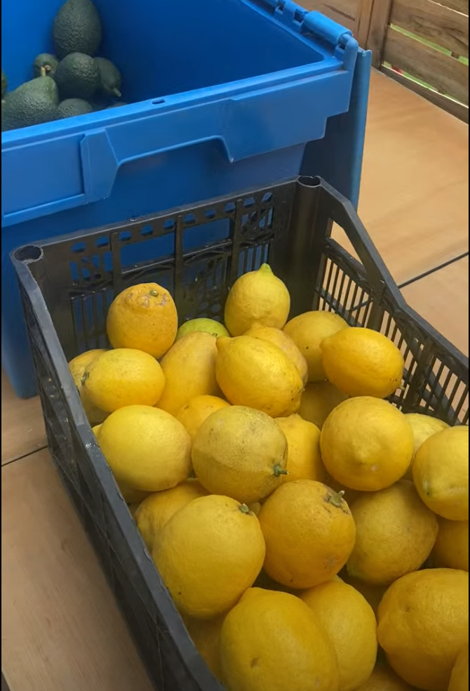 Limones 1/2kg