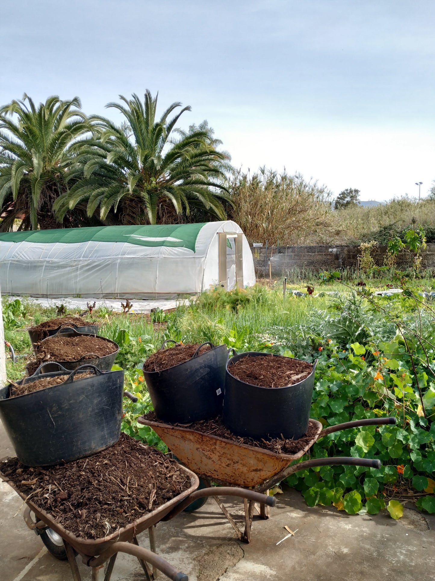 Taller de Huerta Regenerativa