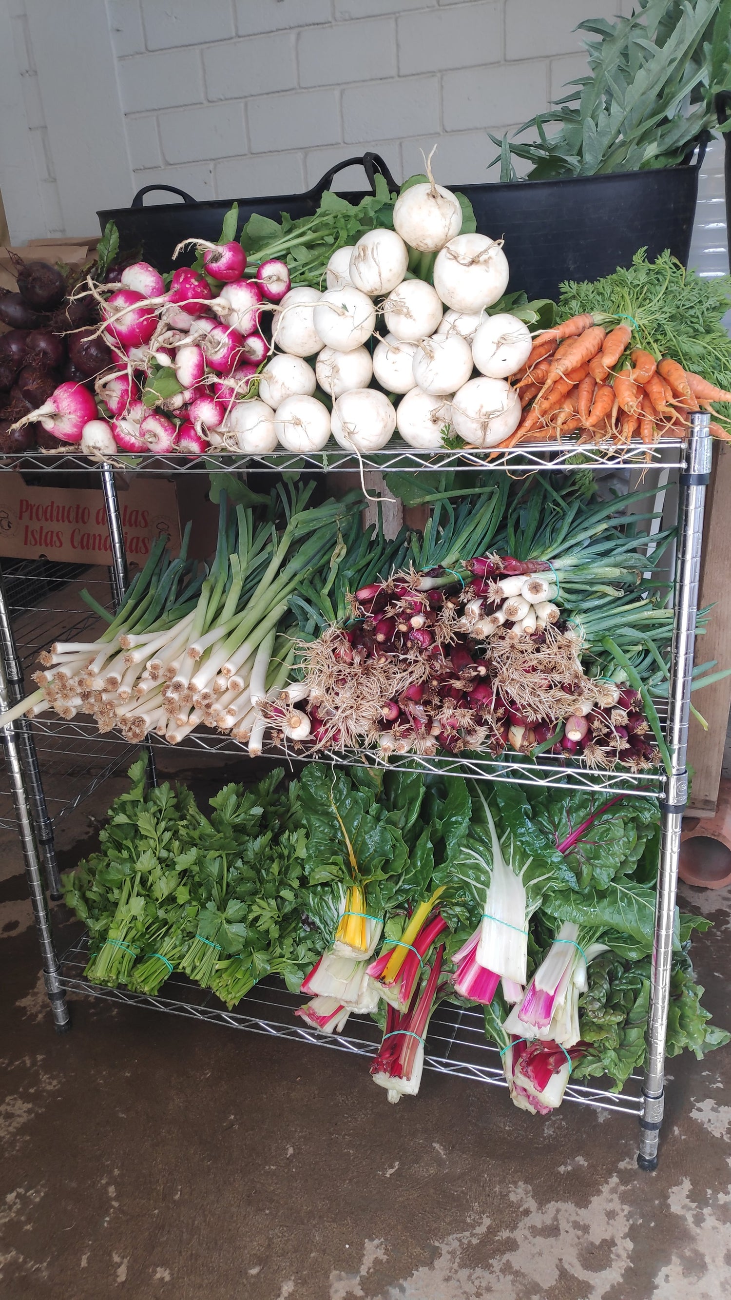 verduras de agricultura regenerativa tenerife