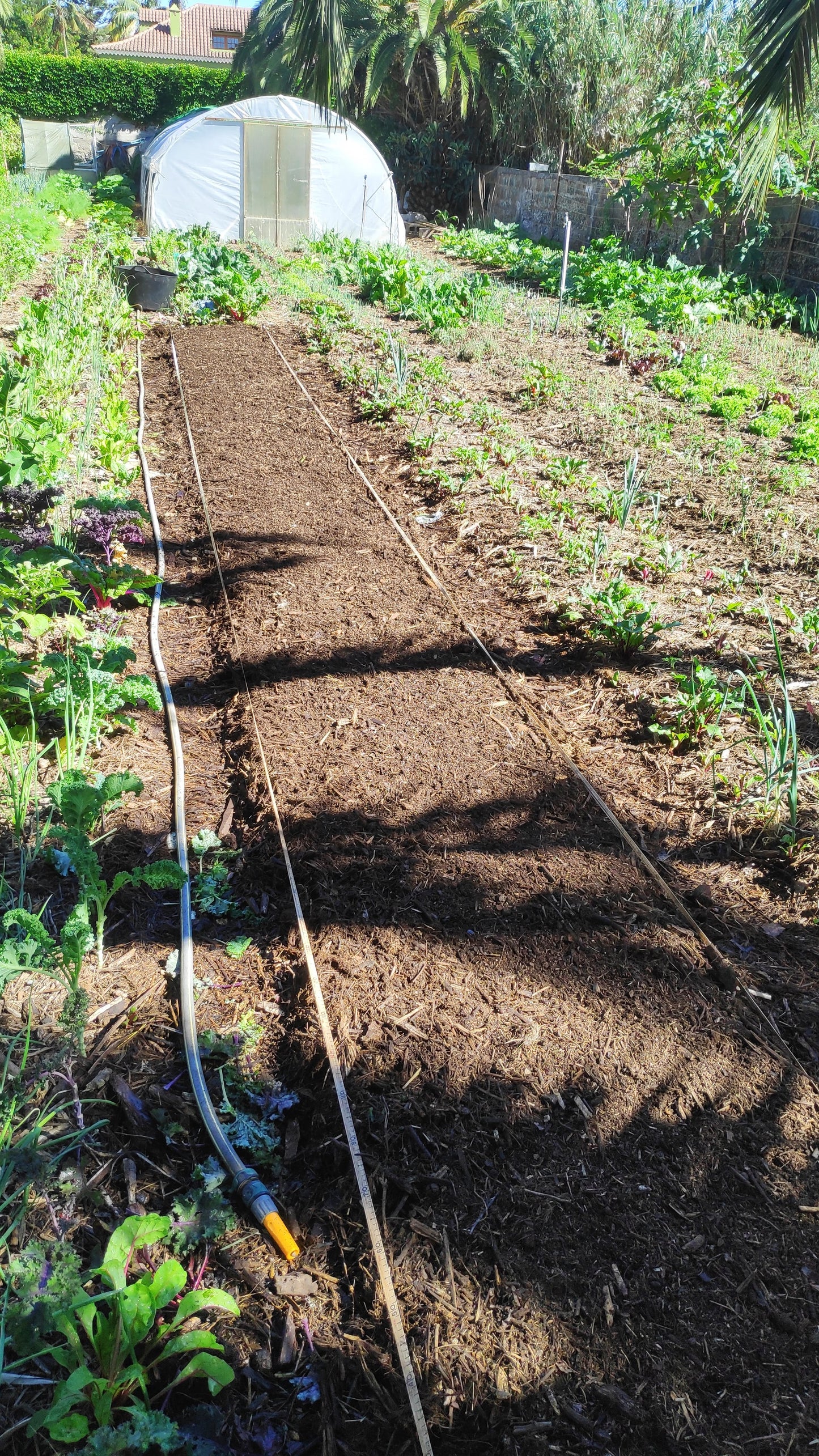 Taller de Huerta Regenerativa