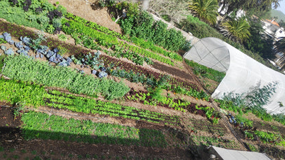 Taller de Huerta Regenerativa